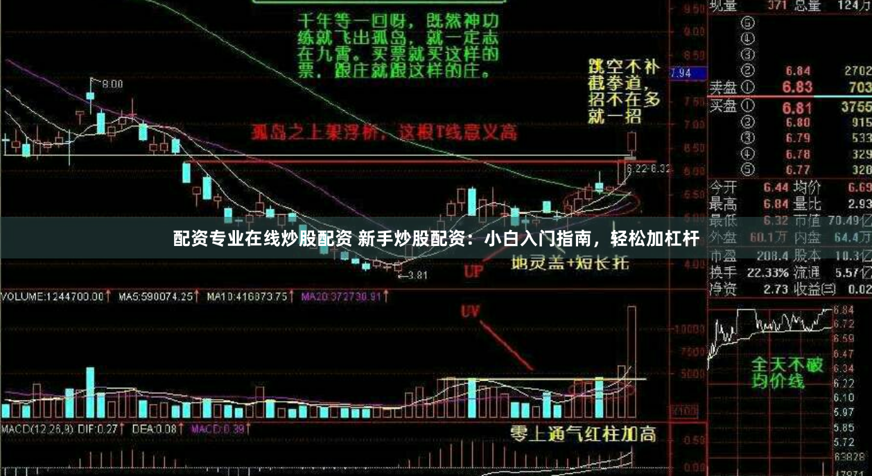 配资专业在线炒股配资 新手炒股配资：小白入门指南，轻松加杠杆