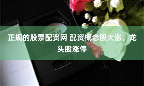 正规的股票配资网 配资概念股大涨，龙头股涨停