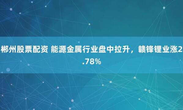 郴州股票配资 能源金属行业盘中拉升，赣锋锂业涨2.78%