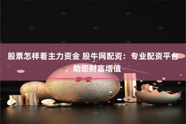 股票怎样看主力资金 股牛网配资：专业配资平台，助您财富增值