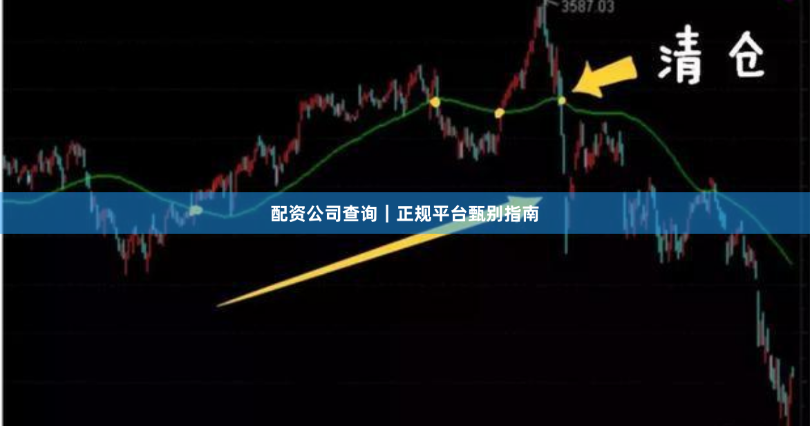 配资公司查询｜正规平台甄别指南